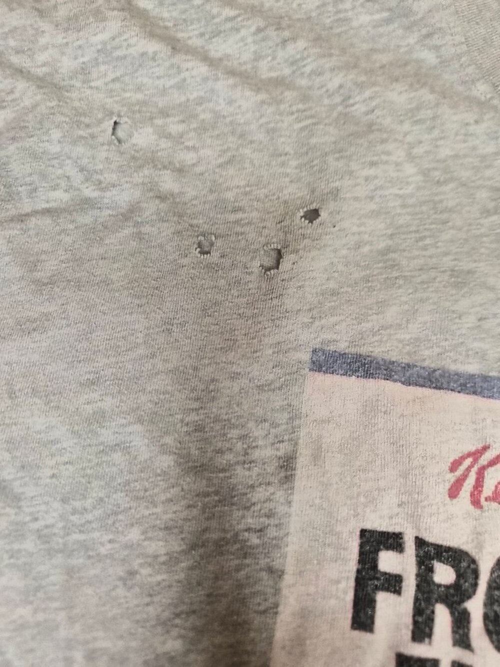 Aerie Kellogg’s Frosted Flakes Distressed Oversized Tee Tony The Tiger VTG Style - Picture 4 of 8